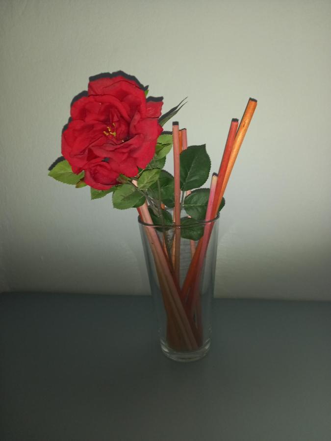Casa Inocencio 호텔 엘푸에르토데산타마리아 외부 사진